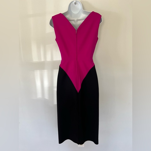 Greta Constantine color-block pink and black sexy Dress - Picture 9 of 15